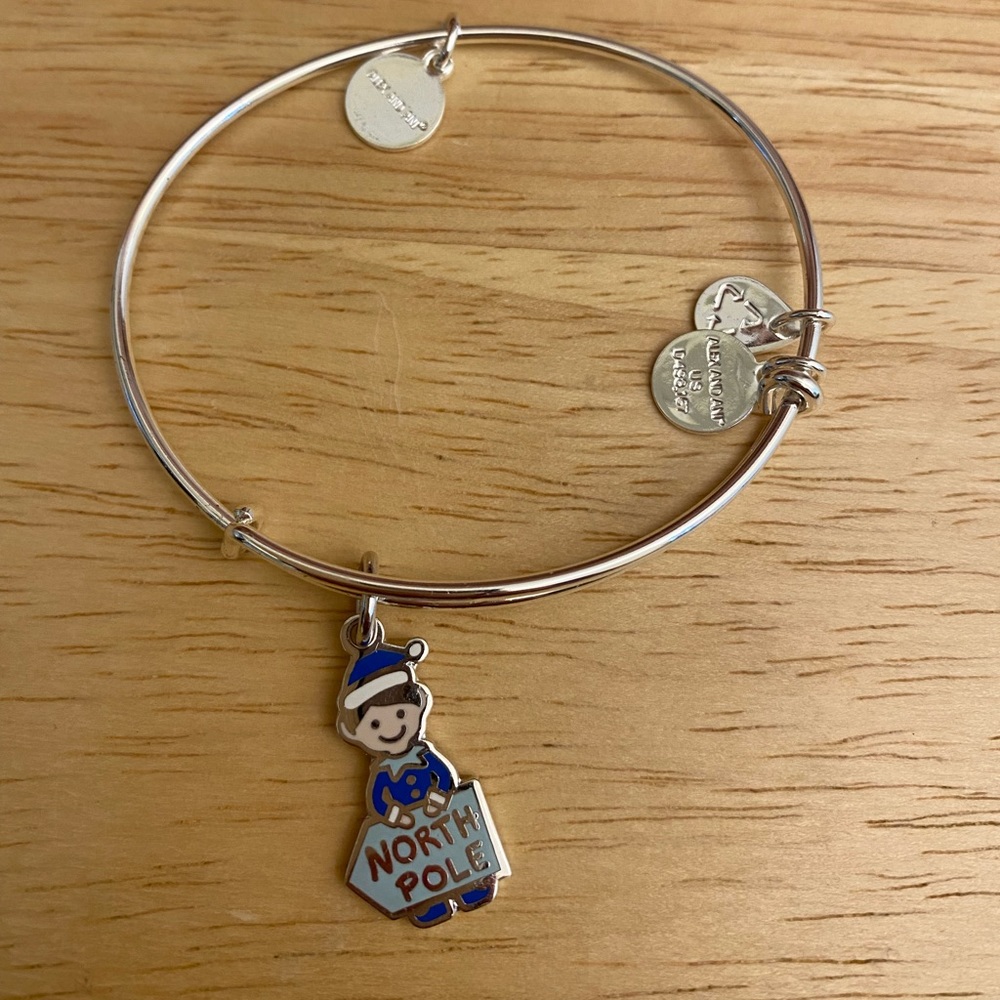 Alex and Ani North Pole Shiny Silver Charm Bangle